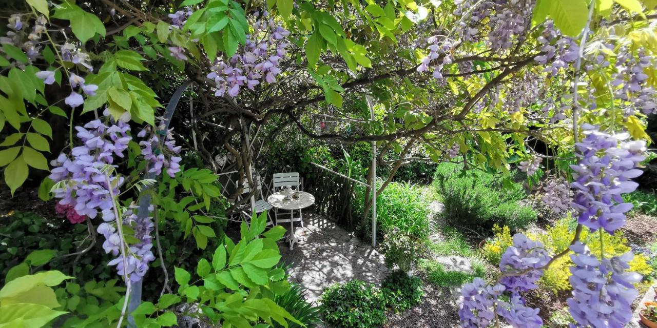 Charming Apartment In A 19Th Century Villa Trieste Exteriör bild