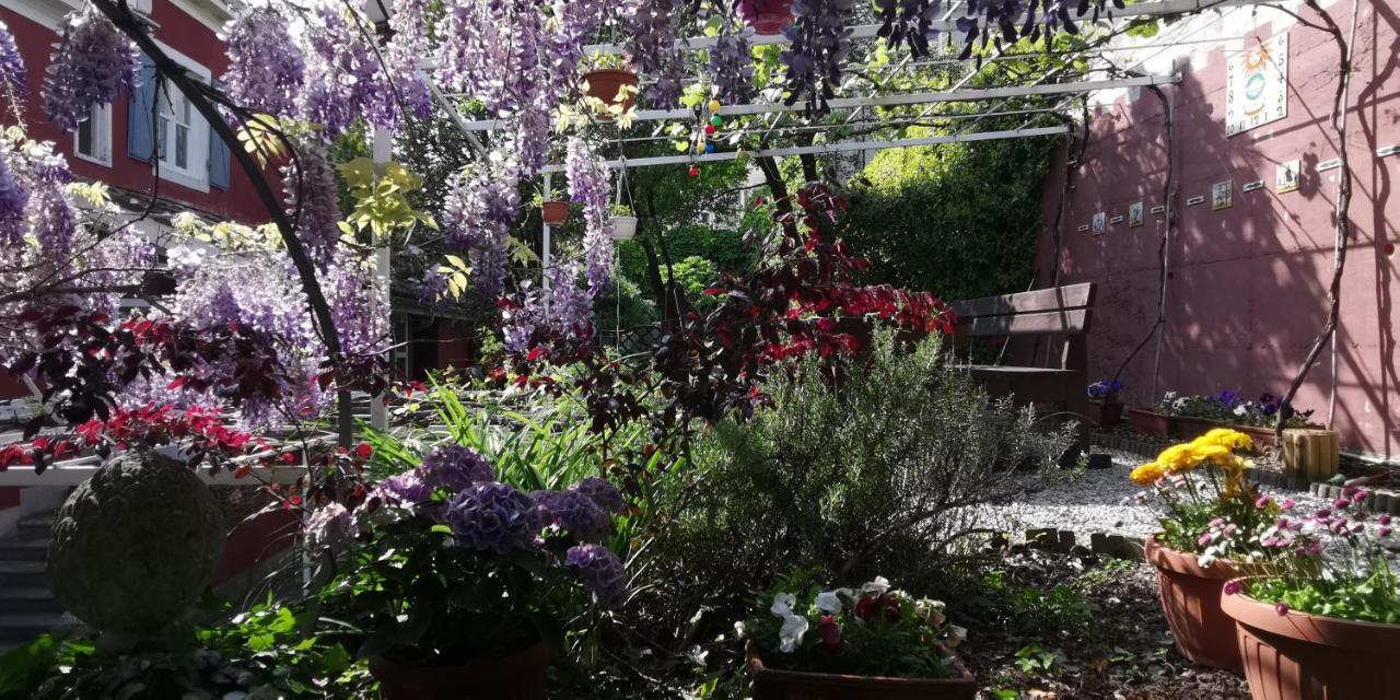 Charming Apartment In A 19Th Century Villa Trieste Exteriör bild